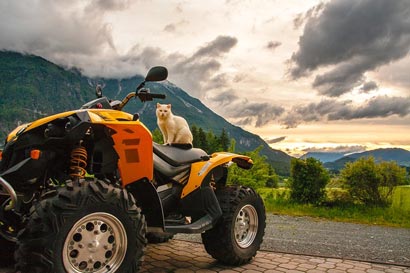 Mi conviene comprare un Quad? Conviene comprare un quad nuovo online su Amazon?